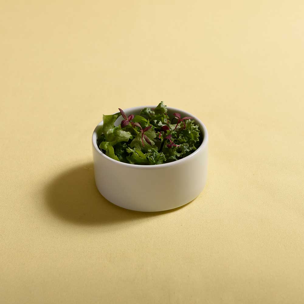 バベル スカウト ボウル